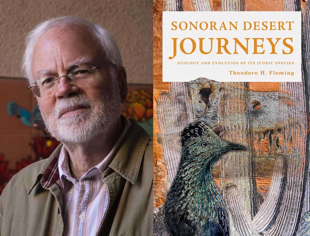 Field Notes: What’s behind 'Sonoran Desert Journeys, Ecology and Evolution of Its Iconic Species' book? (featured image)