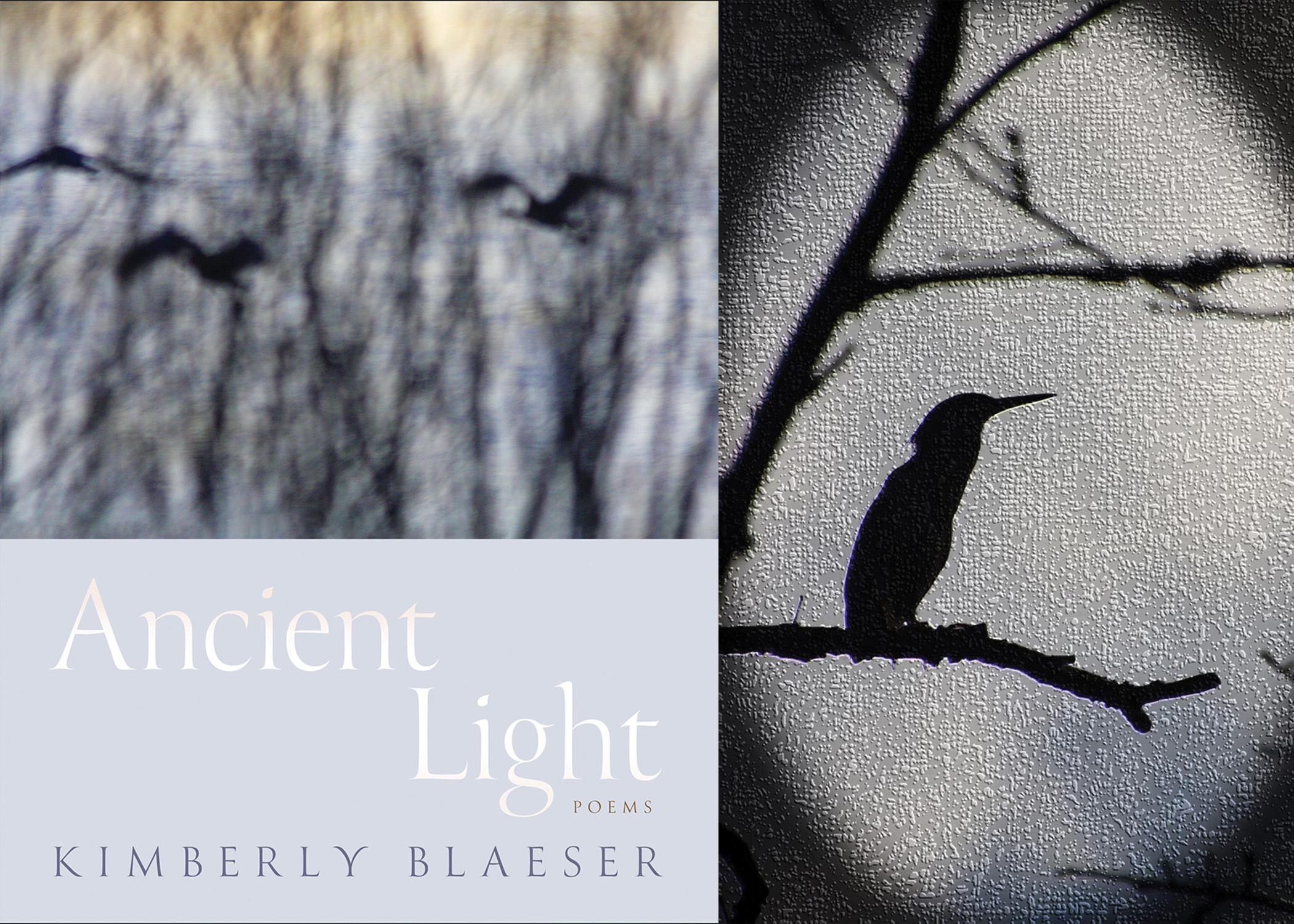 Ancient Light Cover and interior image of a bird silhouette on a branch