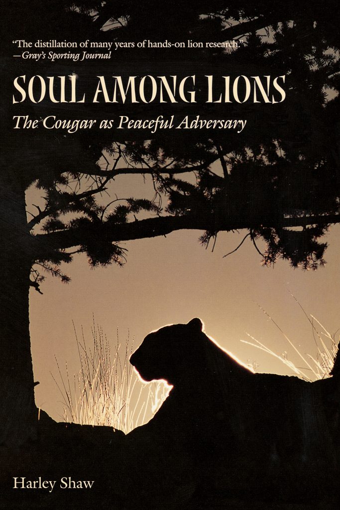 Soul among Lions