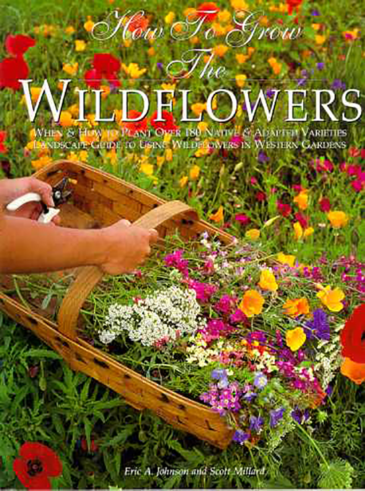 How to Grow the Wildflowers