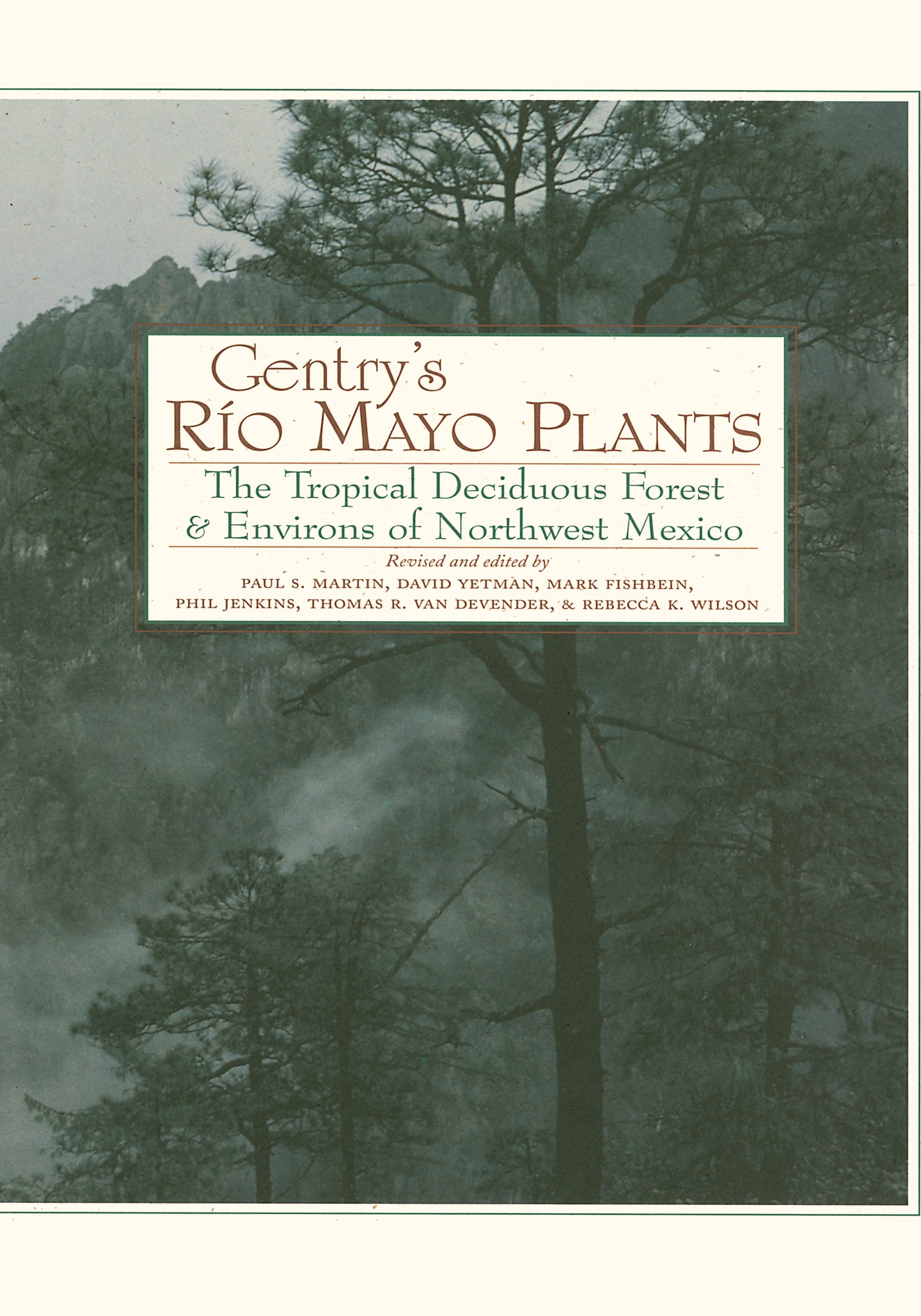 Gentry's Rio Mayo Plants