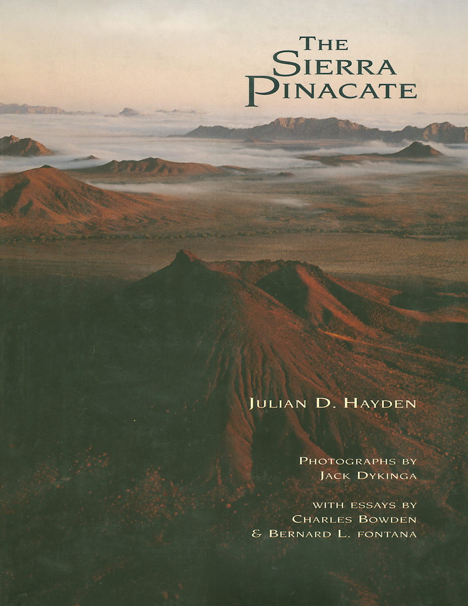 The Sierra Pinacate