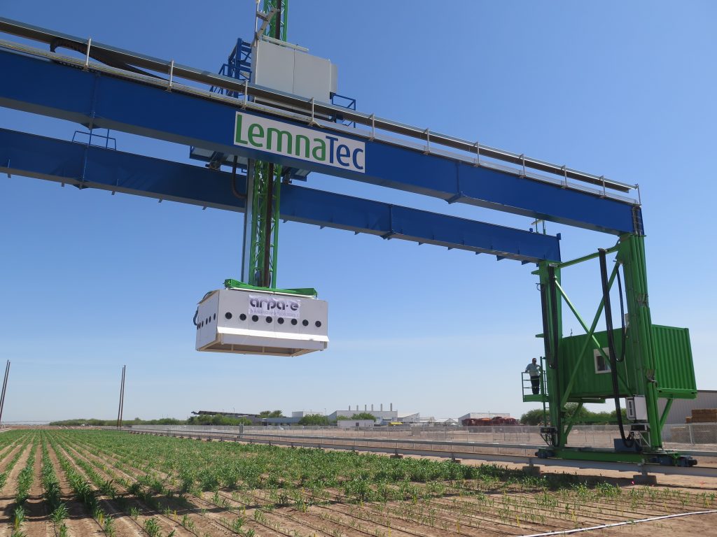 Photo of LemnaTec machine that assesses crops, moving over 20 rows of wheat in a field.
