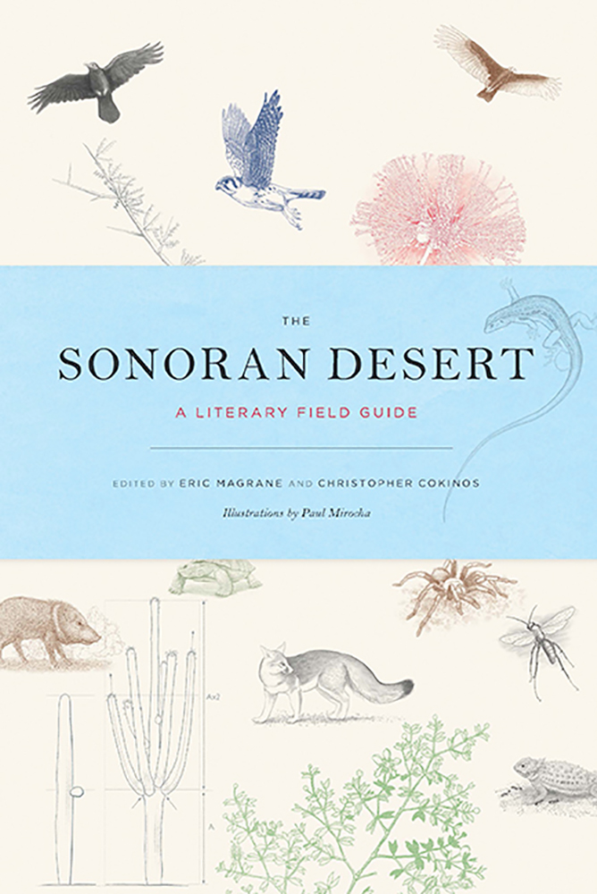 The Sonoran Desert