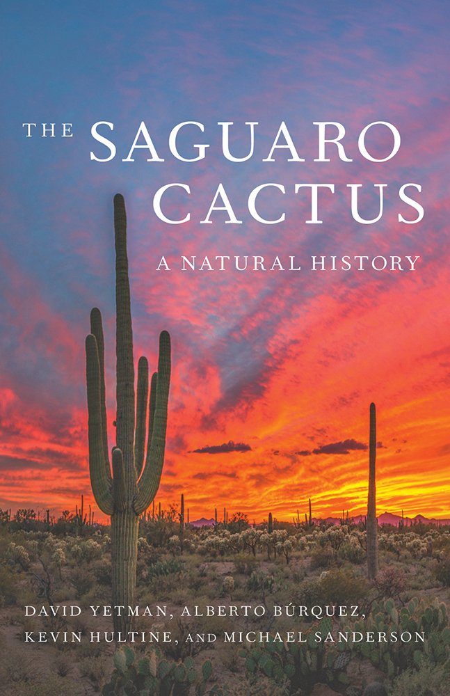 The Saguaro Cactus