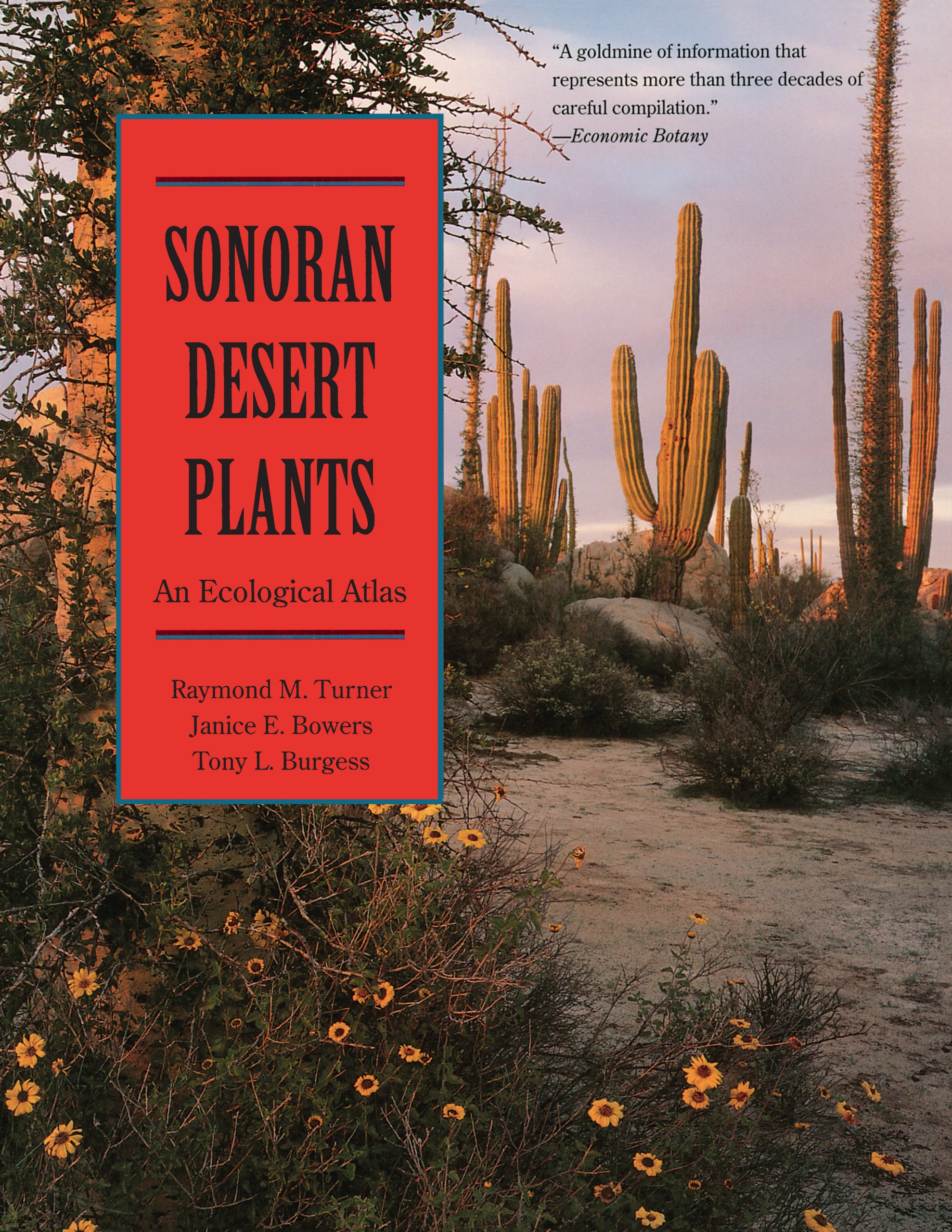 Sonoran Desert Plants