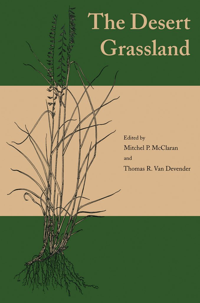 The Desert Grassland