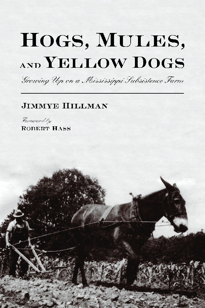 Hogs, Mules, and Yellow Dogs