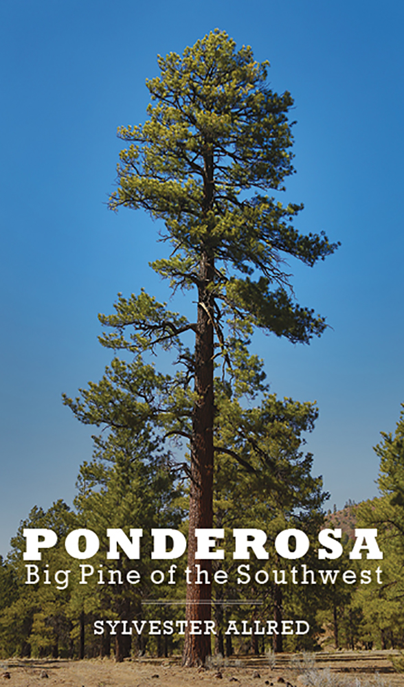 Ponderosa