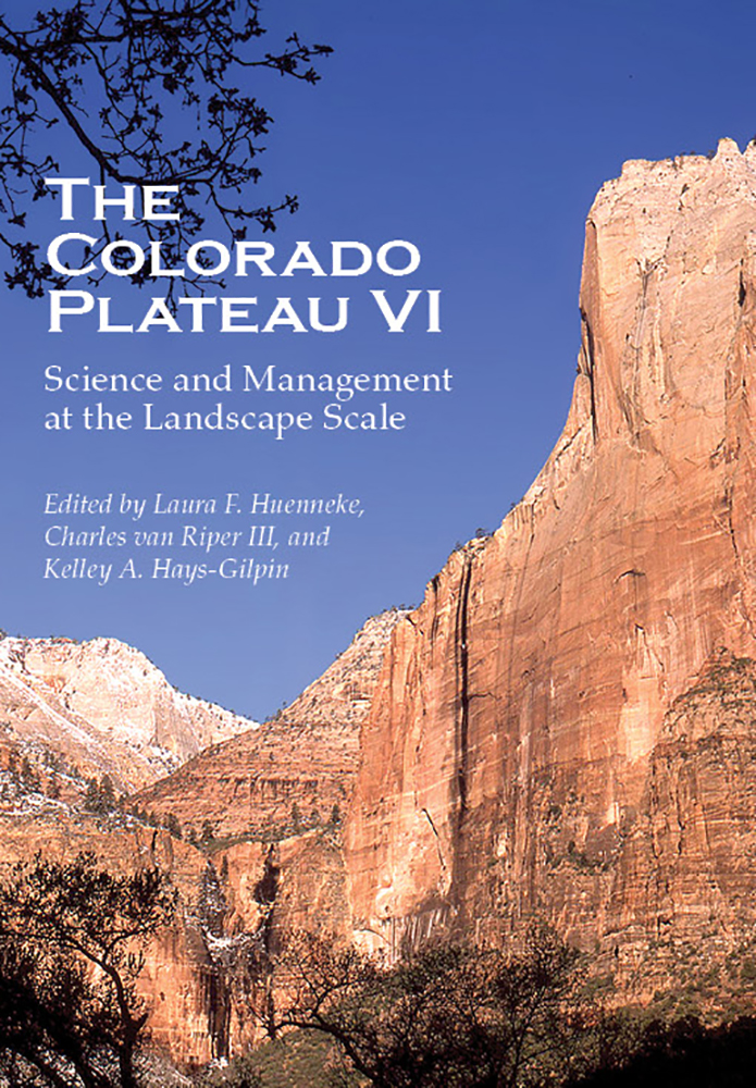 The Colorado Plateau VI