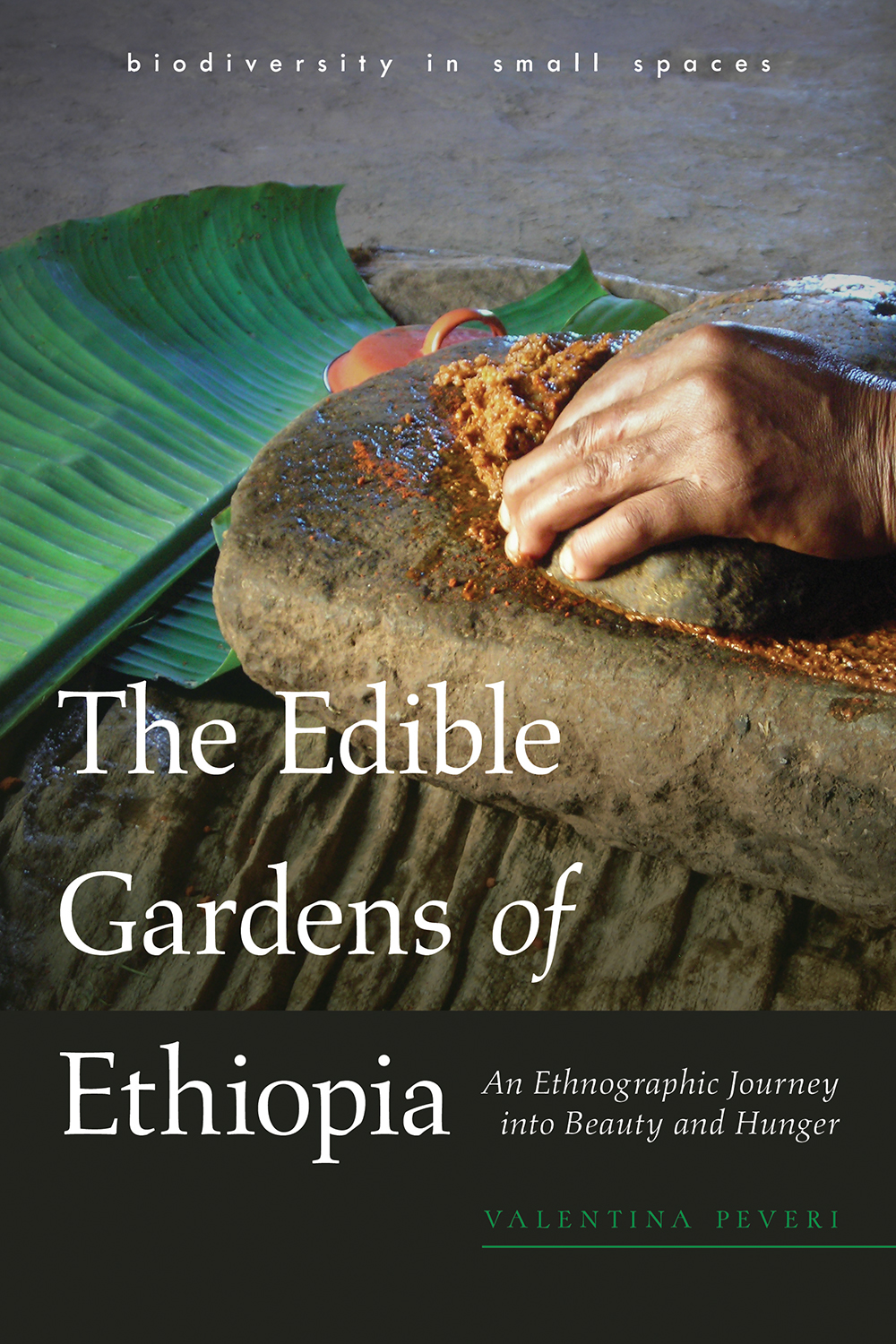 The Edible Gardens of Ethiopia