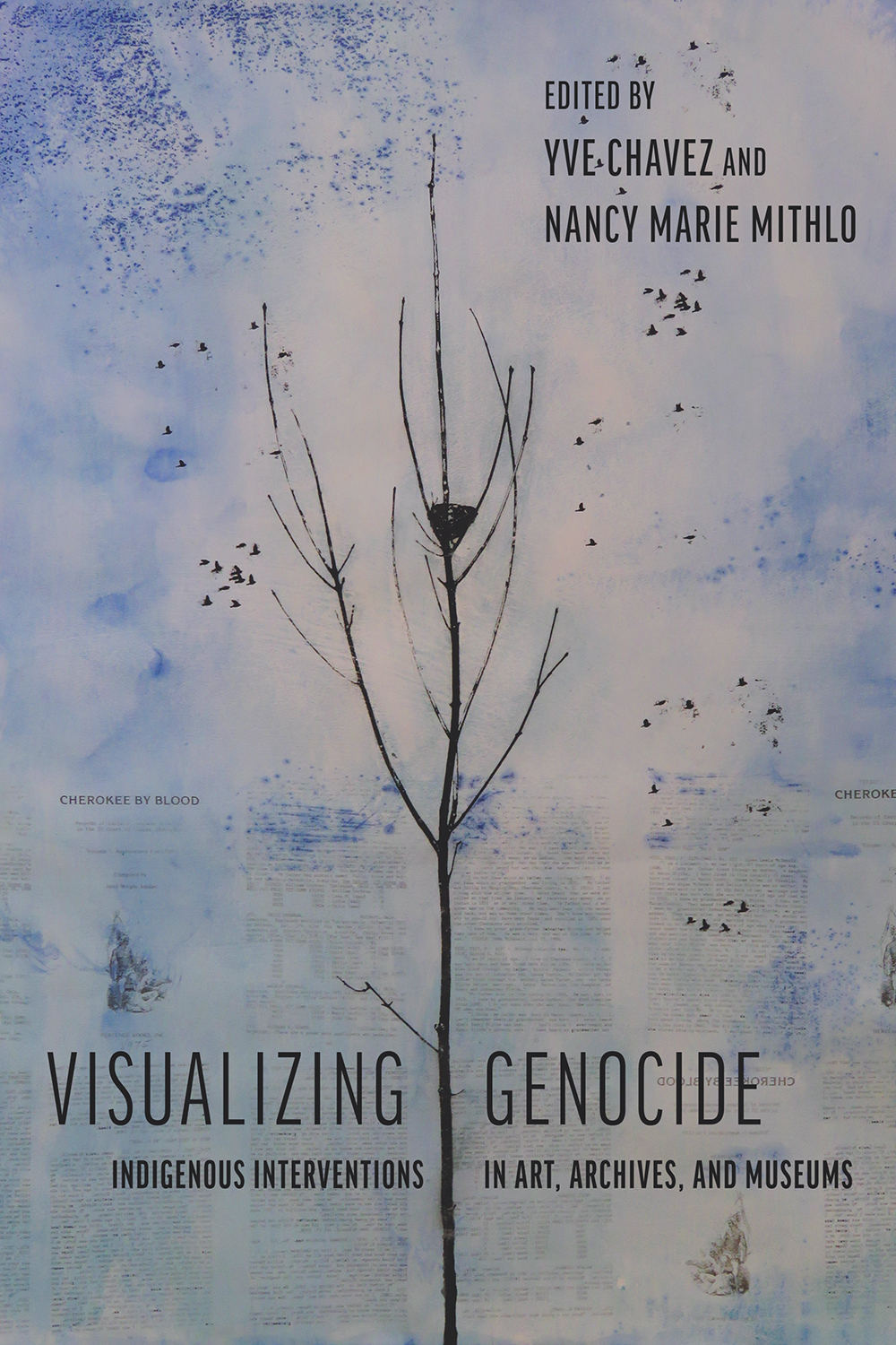 Visualizing Genocide