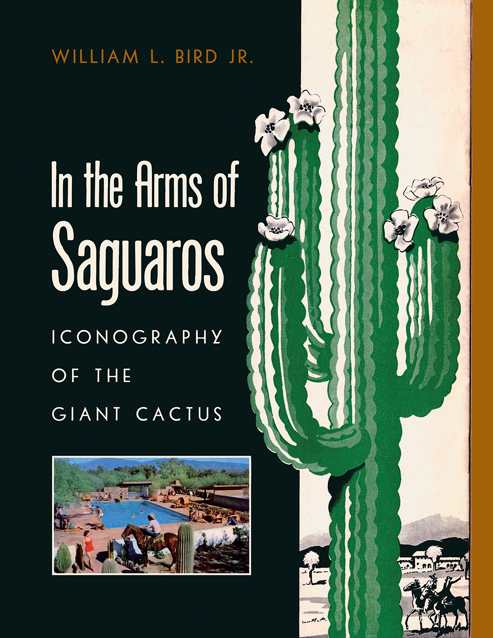 In the Arms of Saguaros