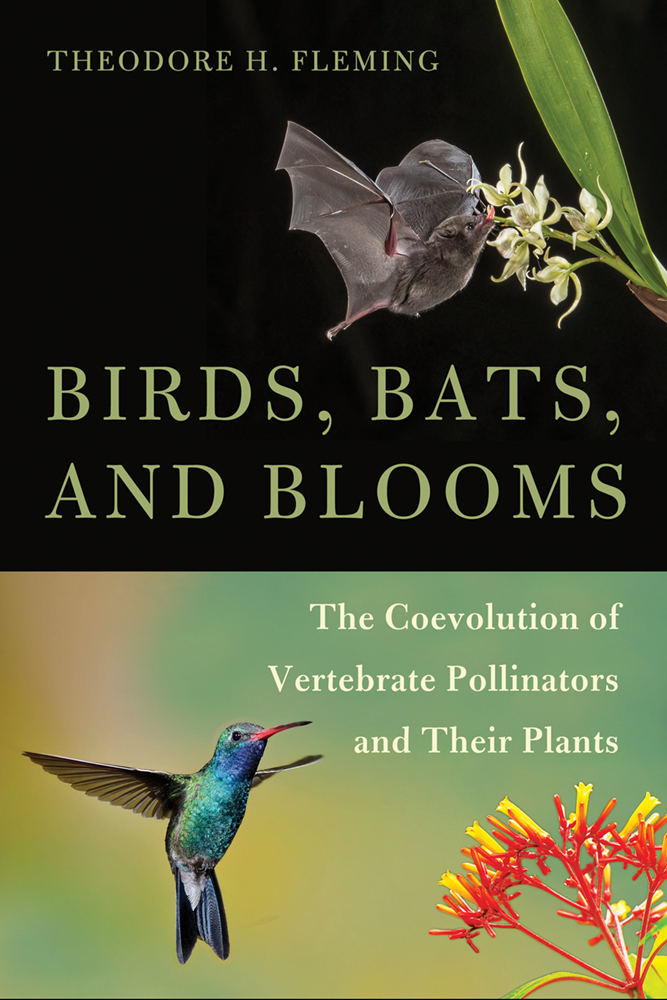 Birds, Bats, and Blooms