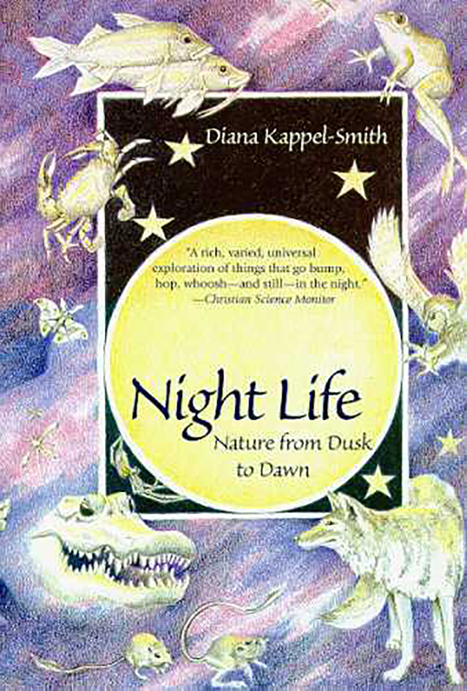 Night Life
