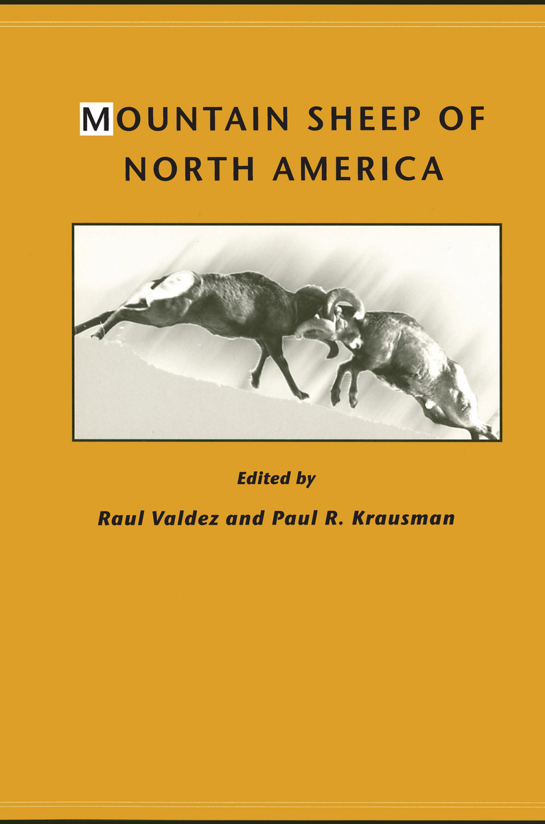 Mountain Sheep of North America
