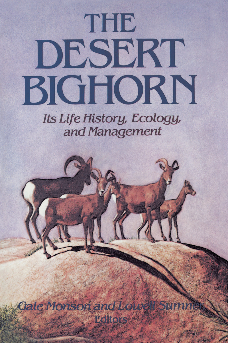 The Desert Bighorn