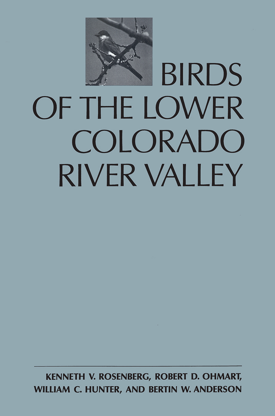 Birds of the Lower Colorado River Valley