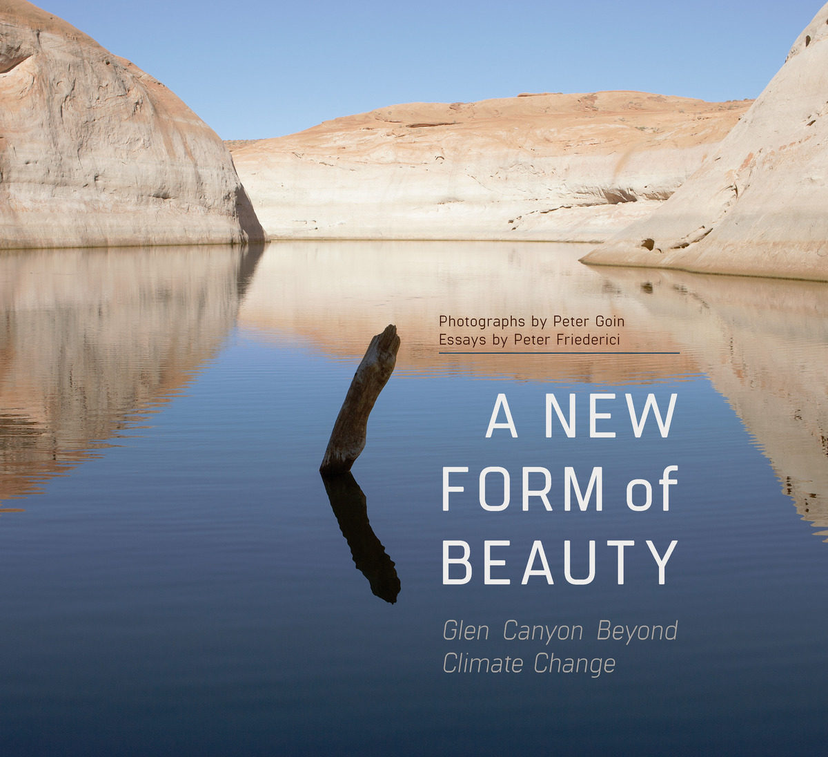 A New Form of Beauty