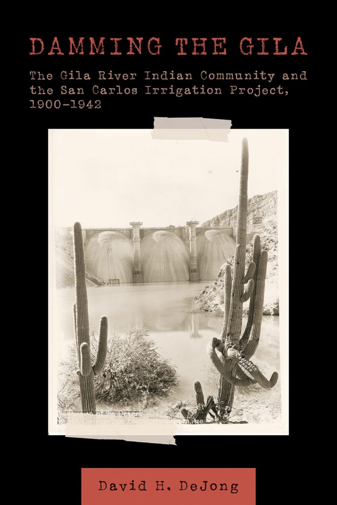book cover for Damming the Gila by David H DeJong.