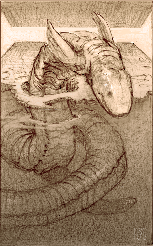 sketch of Mexican mole lizard coming out of the water